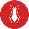 Termite Services